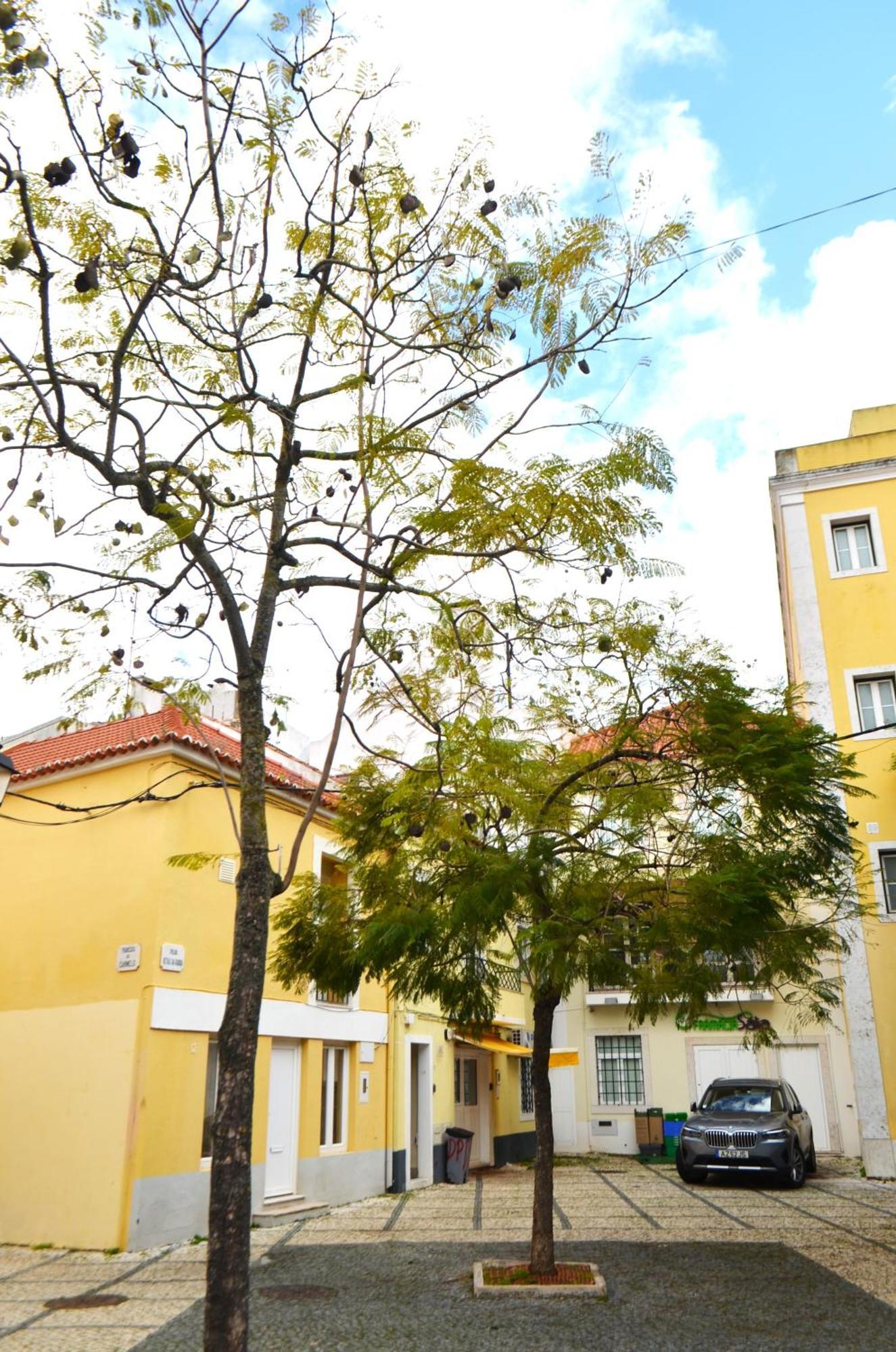 Rooms Dp Setúbal Dış mekan fotoğraf